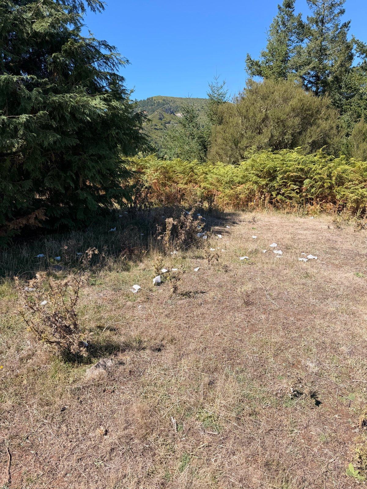 Chão das Feiteiras campsite: no toilet, and how to leave it clean