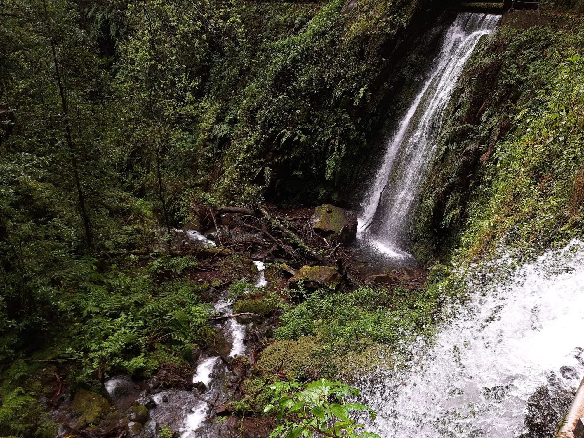 Two waterfalls cascading along the Levada da Fajã do Rodrigues trail on PR 16