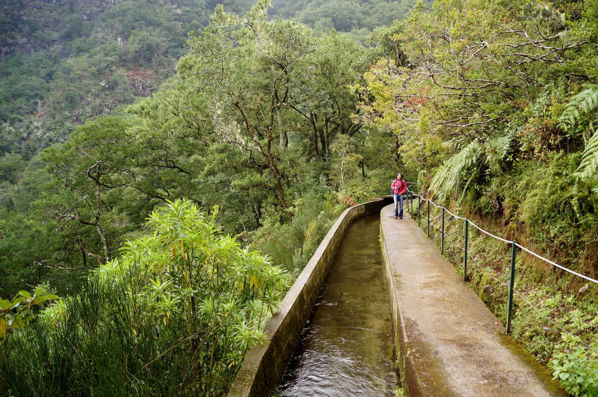 Caldeirão Verde after the rain: how to walk PR 9 safely this autumn
