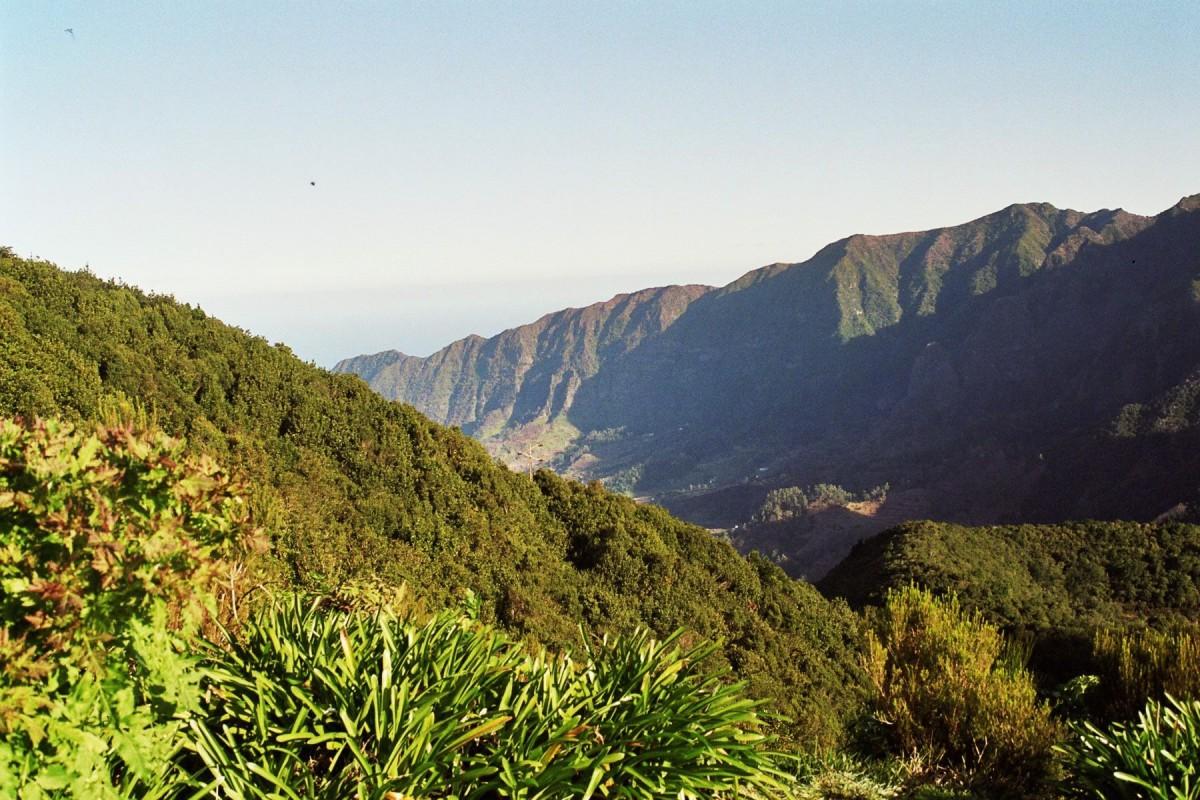 Madeira's other Pico Ruivo: the quiet Paul da Serra path volunteers now look after